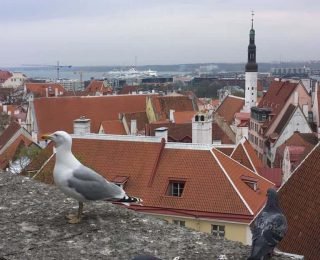 Tallinn