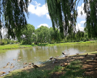 Boksburg (Johannesburg)