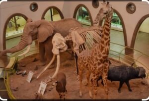 Nairobi-Discover-3